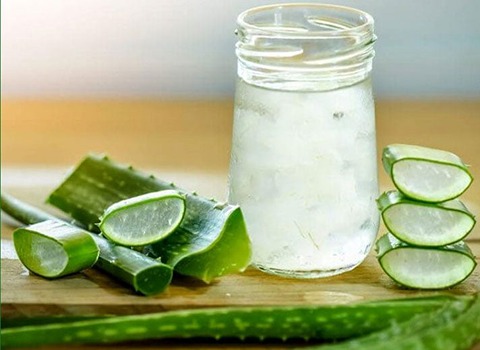 تصویر 2 از قیمت خرید ژل گیاه آلوئه ورا + فروش ویژه